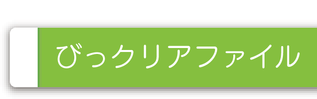 びっクリアファイル